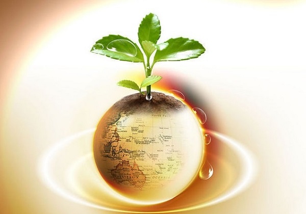 美联储降息预期支撑黄金价格，美元走强或成短期阻力